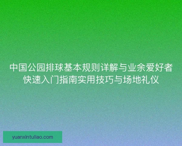 中国公园排球基本规则详解与业余爱好者快速入门指南实用技巧与场地礼仪