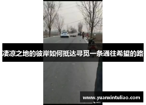 凄凉之地的彼岸如何抵达寻觅一条通往希望的路