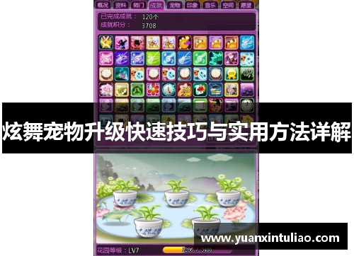 炫舞宠物升级快速技巧与实用方法详解